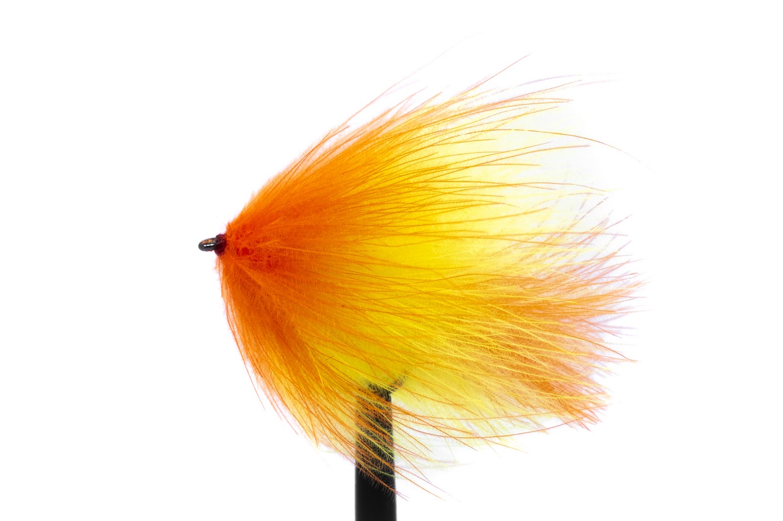 PAMPELIŠKY (MUŠKA SPLÁVEK)