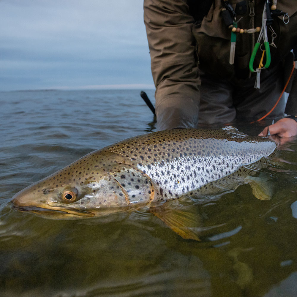 Muškařská šňůra Vision Meri - plovoucí + SloMo hlava 10m