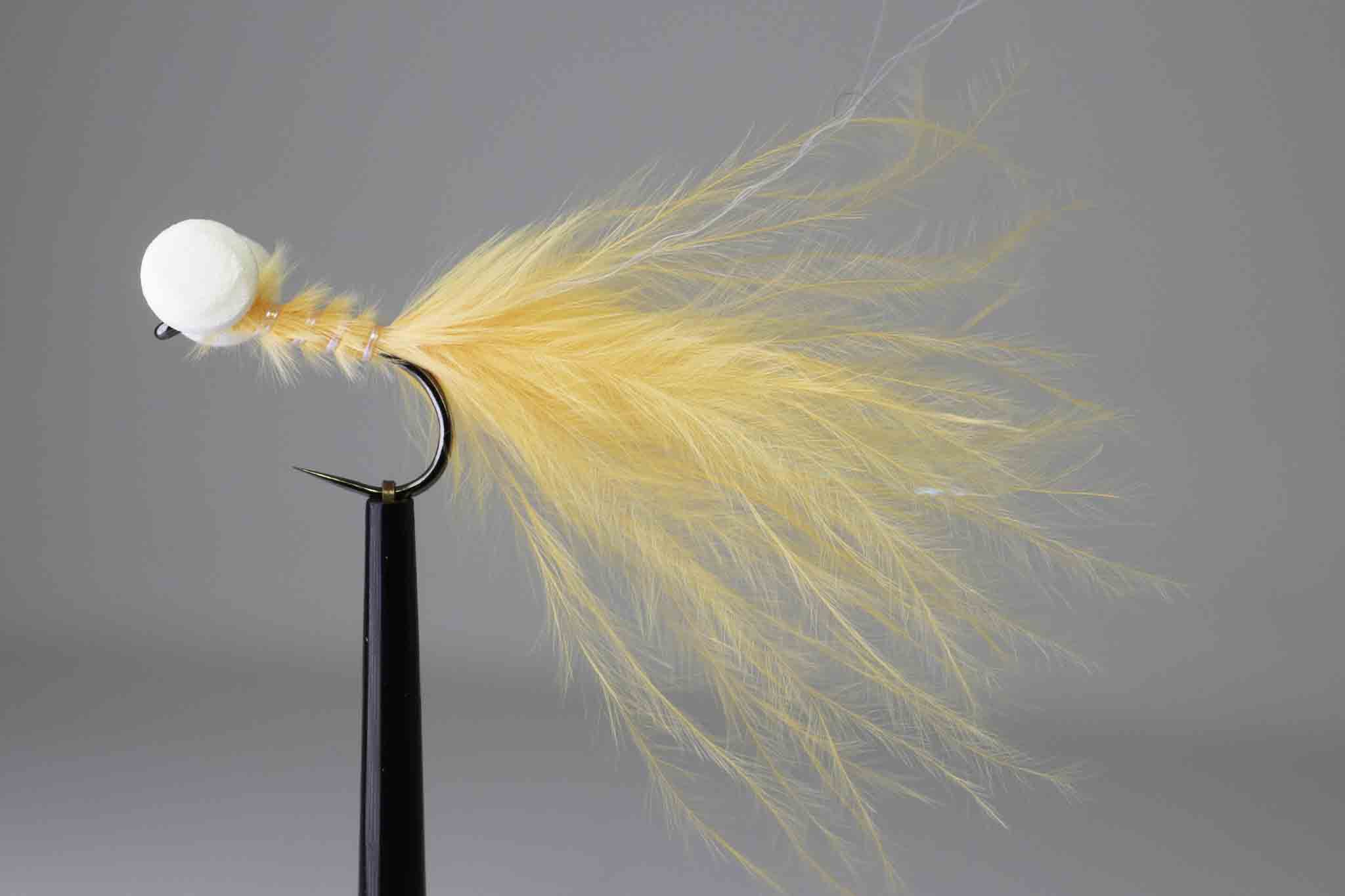 Sunburst booby