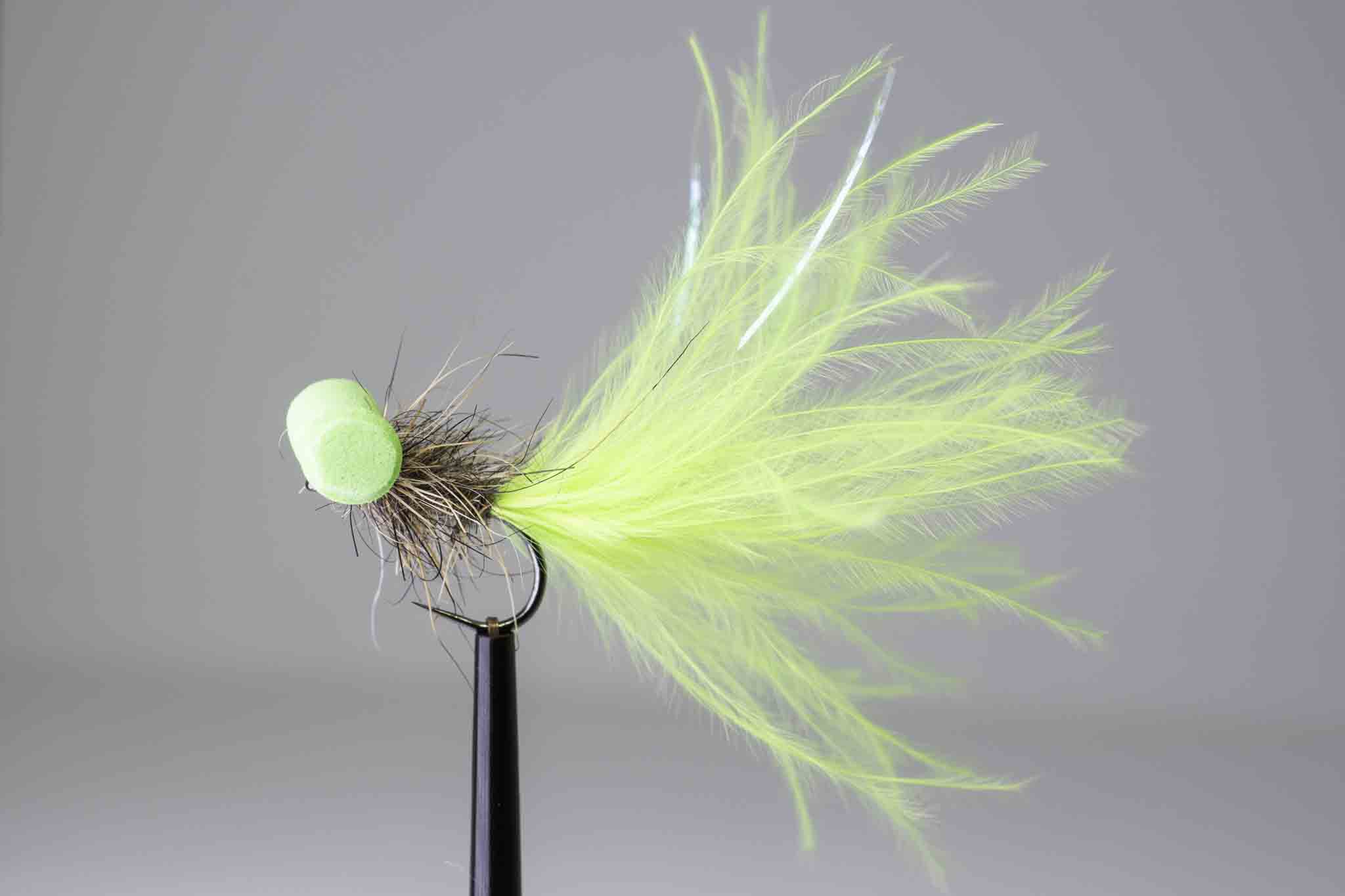 Chartreuse booby zajícovka