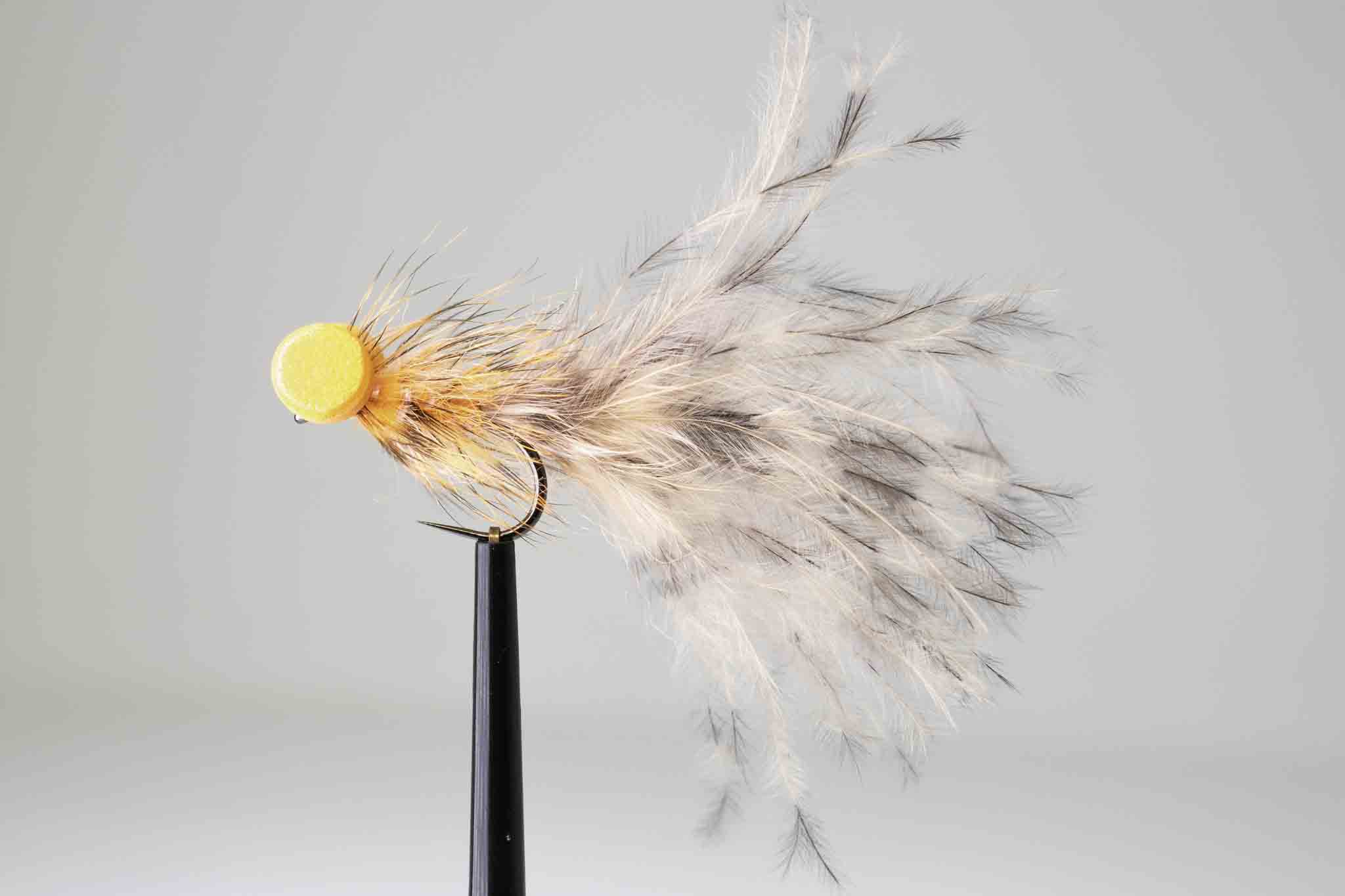 Salmon grizzly booby