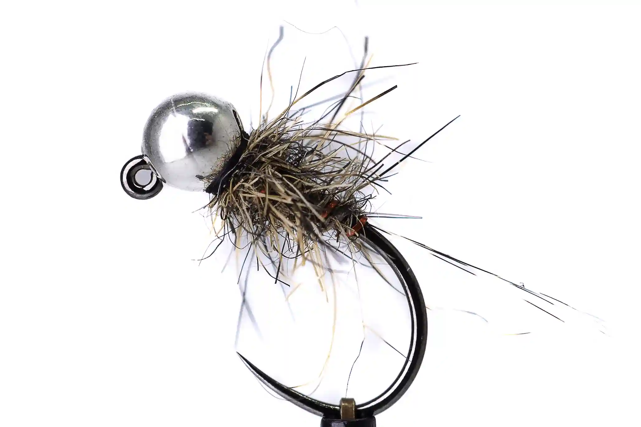 Zaječí ouško s červeným kroužkováním