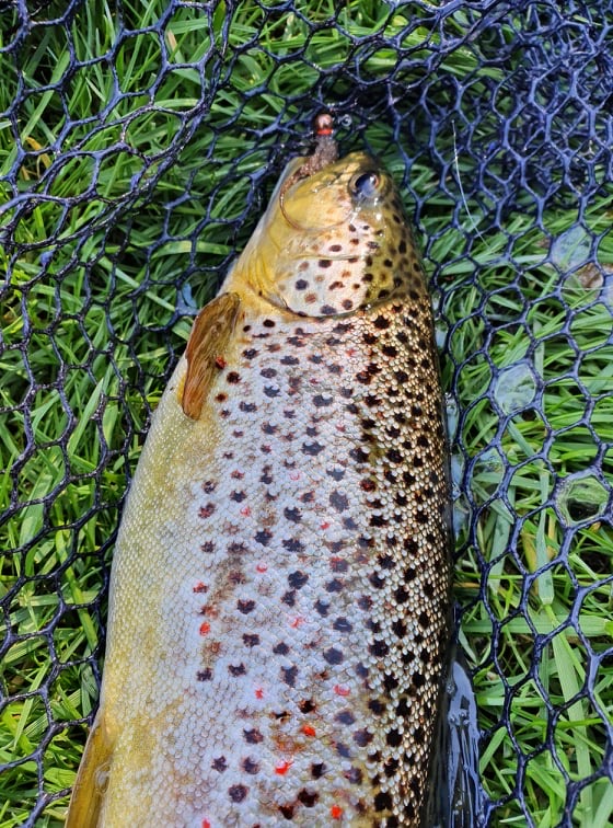 Přírodní jigstreamer