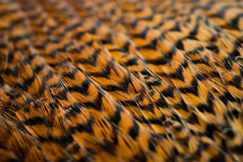 Skalp z kohouta - Rezavě hnědý grizzly, kvalita A