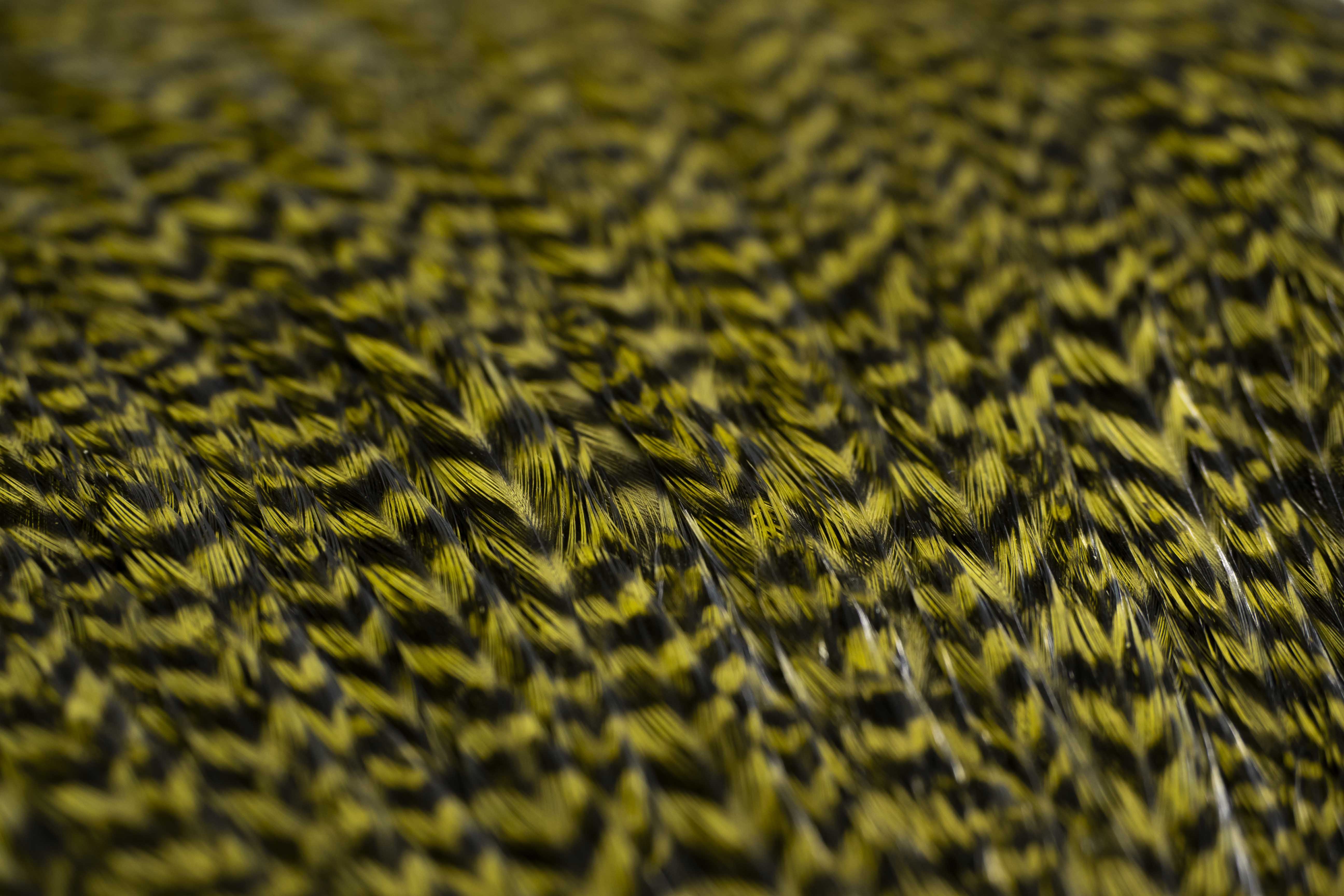 Skalp z kohouta - Olivový Grizzly, kvalita A