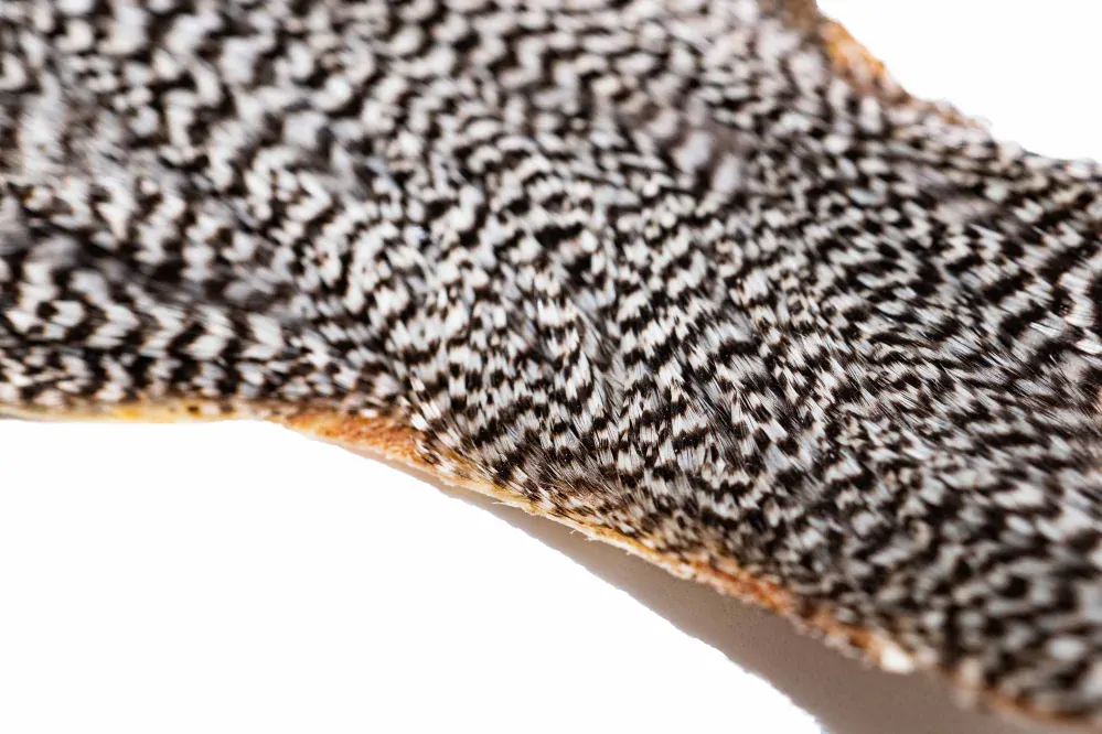 Skalp z kohouta - Grizzly, kvalita A