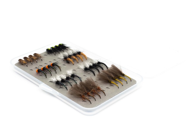 Sada 32 ks jezerních pakomárů a nymf