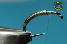 Magic Quills - Gaga Flies