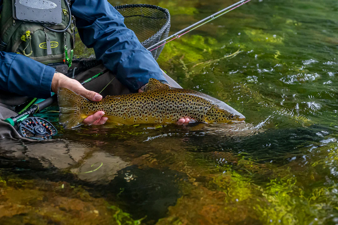 Muškařský prut Vision Nymphmaniac Twintip EVA
