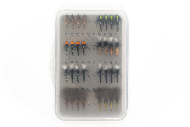 Sada 32 ks jezerních pakomárů a nymf