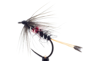 Bibio variant