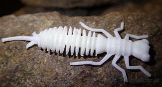 Stonefly nymph - bílá