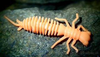 Stonefly nymph - oranžová