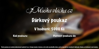 Dárkový poukaz 5000 Kč