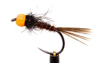 PTN orange head