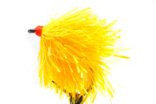 Competition Sunburst Blob
