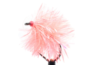 Fluo Coral Blob