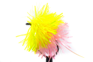 Sweetcorn Coral Blob