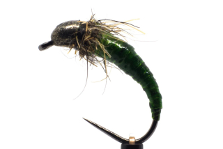 Zelená Heavy Body larva
