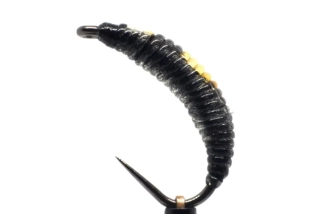 Tmavá jungle cock larva