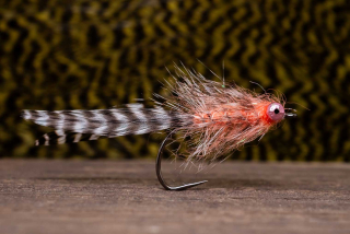Salmon Magnus