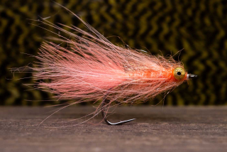 CDC Salmon Magnus