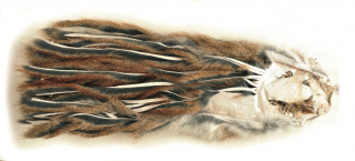 Přírodní mikro zonkerové pásky Veniard - celá kůže z americké veverky