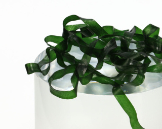 Body Stretch - Dark Green