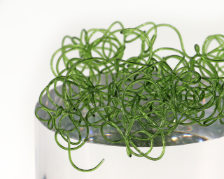 Sybai Wiggly Worms - Olive Green