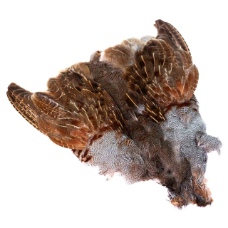 Koroptev skalp - kvalita B