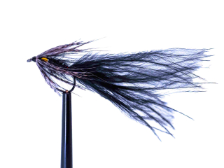 Černý jungle cock streamer