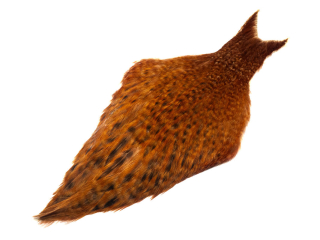 Skalp slepice - barred dark ginger