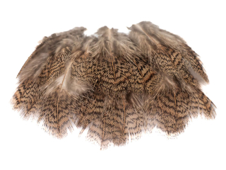 Koroptev - hřbetní peří, 30 ks