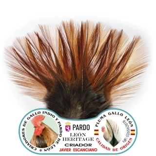 Gallo de Leon - Bronze Grade Brown Medium