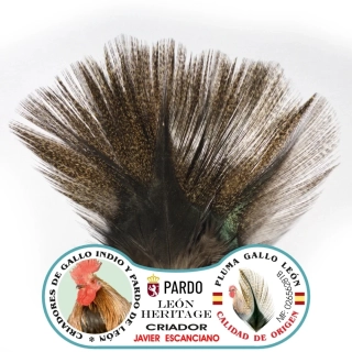 Gallo de Leon - Bronze Grade Corzuno Dark