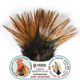 Gallo de Leon - Bronze Grade Golden Medium