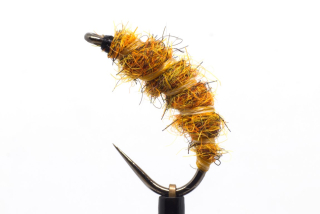 Burnt orange killer bug