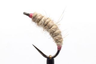 Light pink killer bug