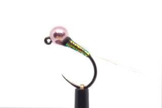 Pink head caramel perdigone