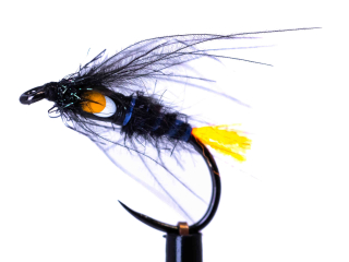Jungle cock orange tag